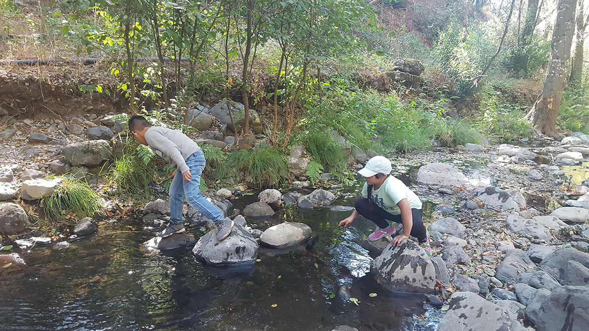 Exploring Bouverie